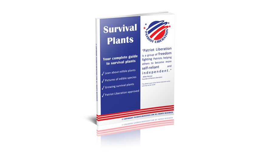 cover-survivalplants-1200-700