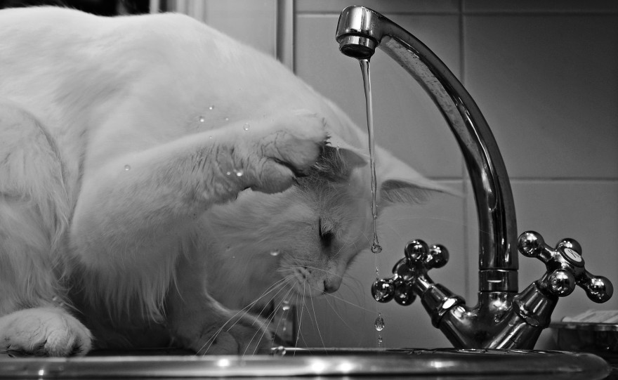 Six water laws once the SHTF