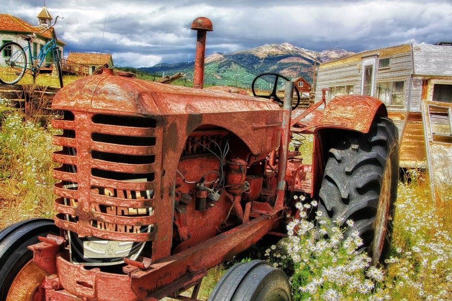 How to master life on your homestead