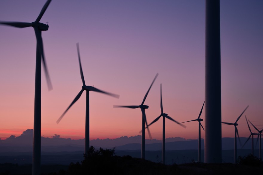 How to live a more sustainable life