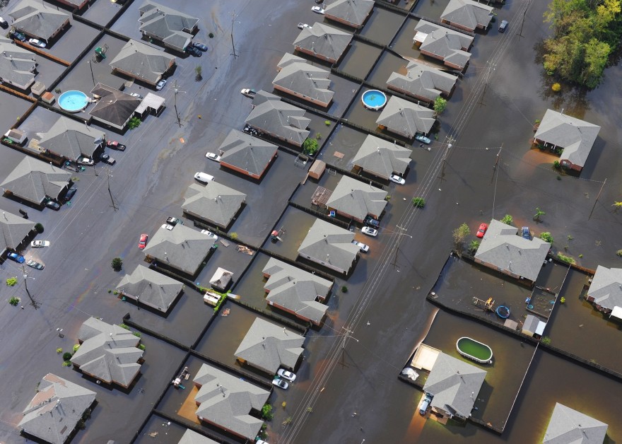 the rules of survival once the SHTF