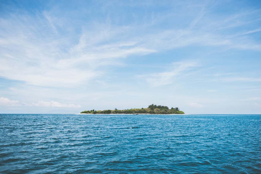 Tips for staying alive on a deserted island