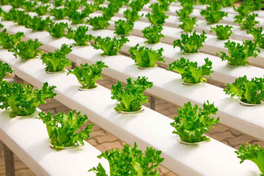 Farming options that don't require dirt