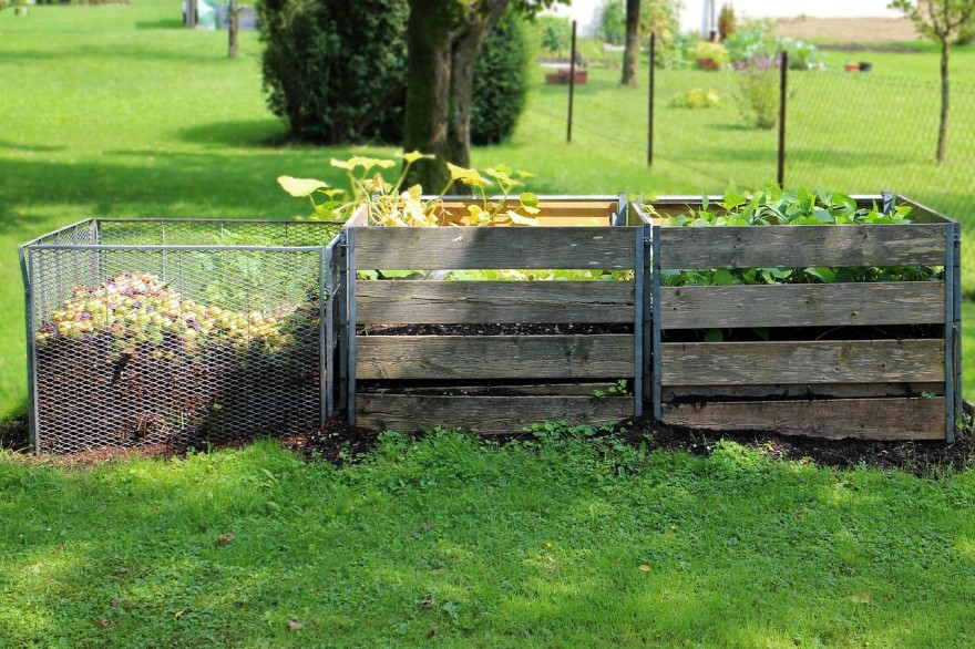 Natural ways to keep you garden thriving