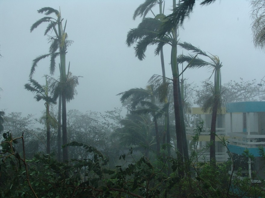 Would you make it through a hurricane?