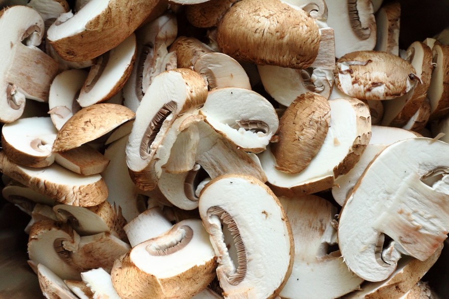 Why you should be growing your own mushrooms