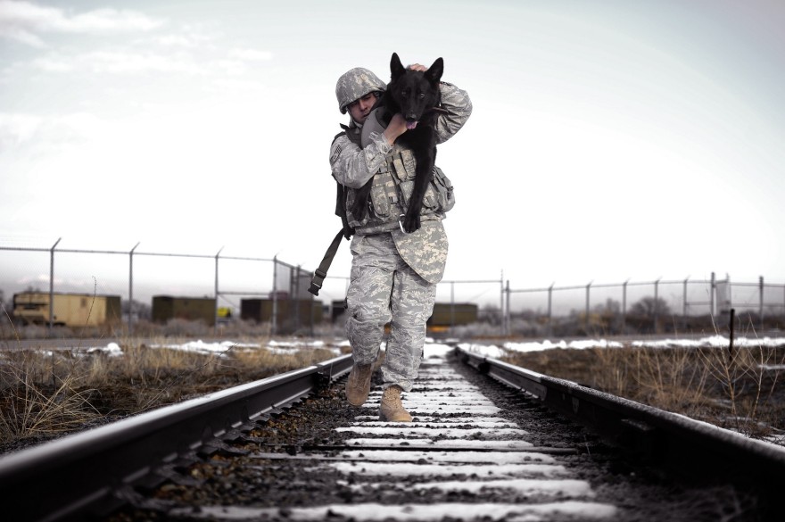 Bringing your dog into your SHTF plans
