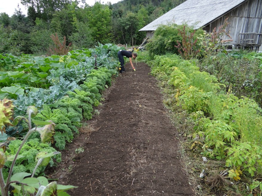 The importance of growing what you eat