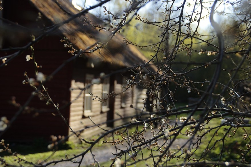 Getting yourself “off-grid” in 30 days